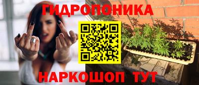 прущие крисы Бузулук