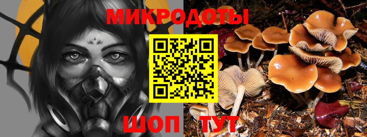 Галлюциногенные грибы GOLDEN TEACHER  Вход с VPN  Троицк 